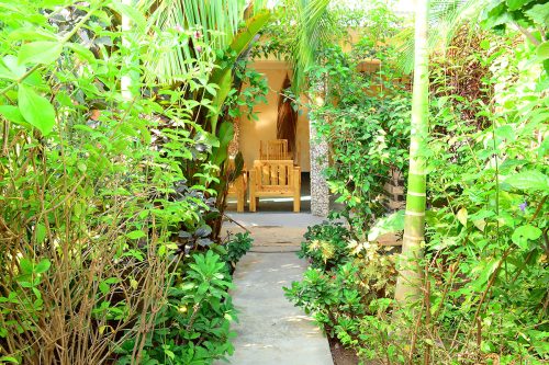 Garden View 4