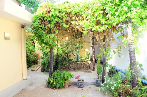 Garden View 6