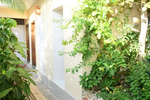 Garden View 1