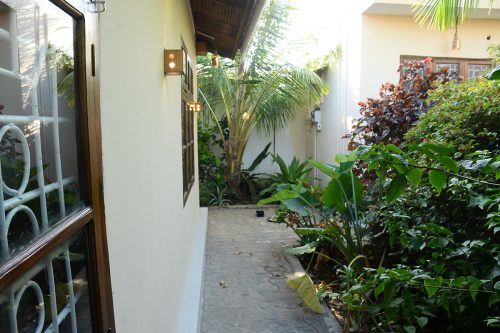 Garden View 2